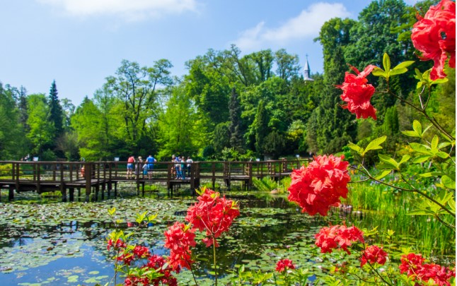 Arboretum w Bolestraszycach