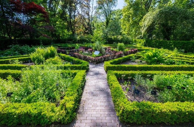 Ogród botaniczny